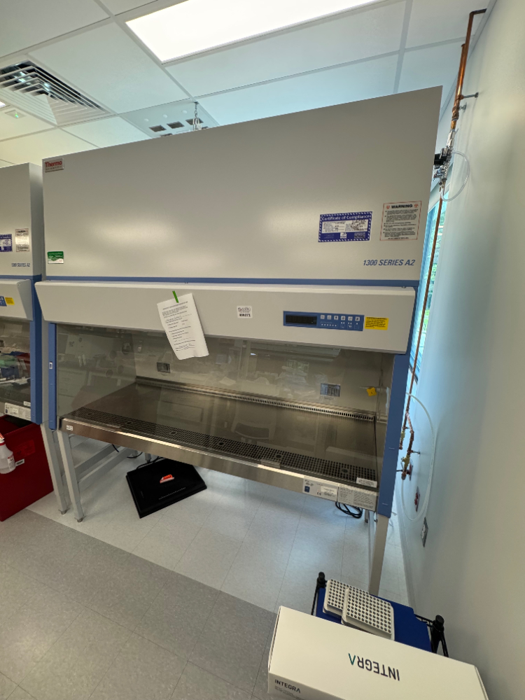 Image of Thermo 1300 Series A2 6' BioSafety Cabinet